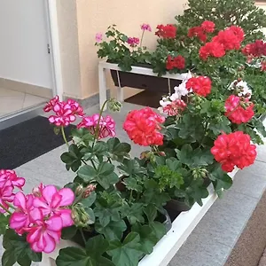 Apartament Marelja - Private Parking And Balcony, Zadar
